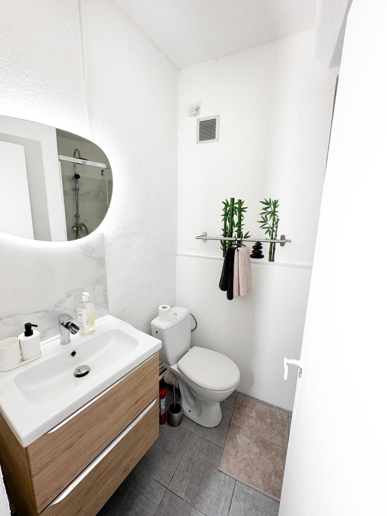 Apartment St Ursule R1 Montpellier